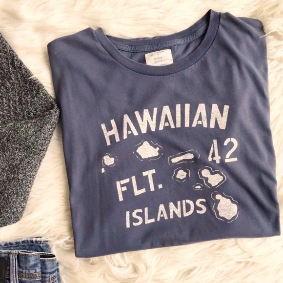 J. Crew Other - J. Crew - Men’s Gray Hawaiian Islands Graphic Tee